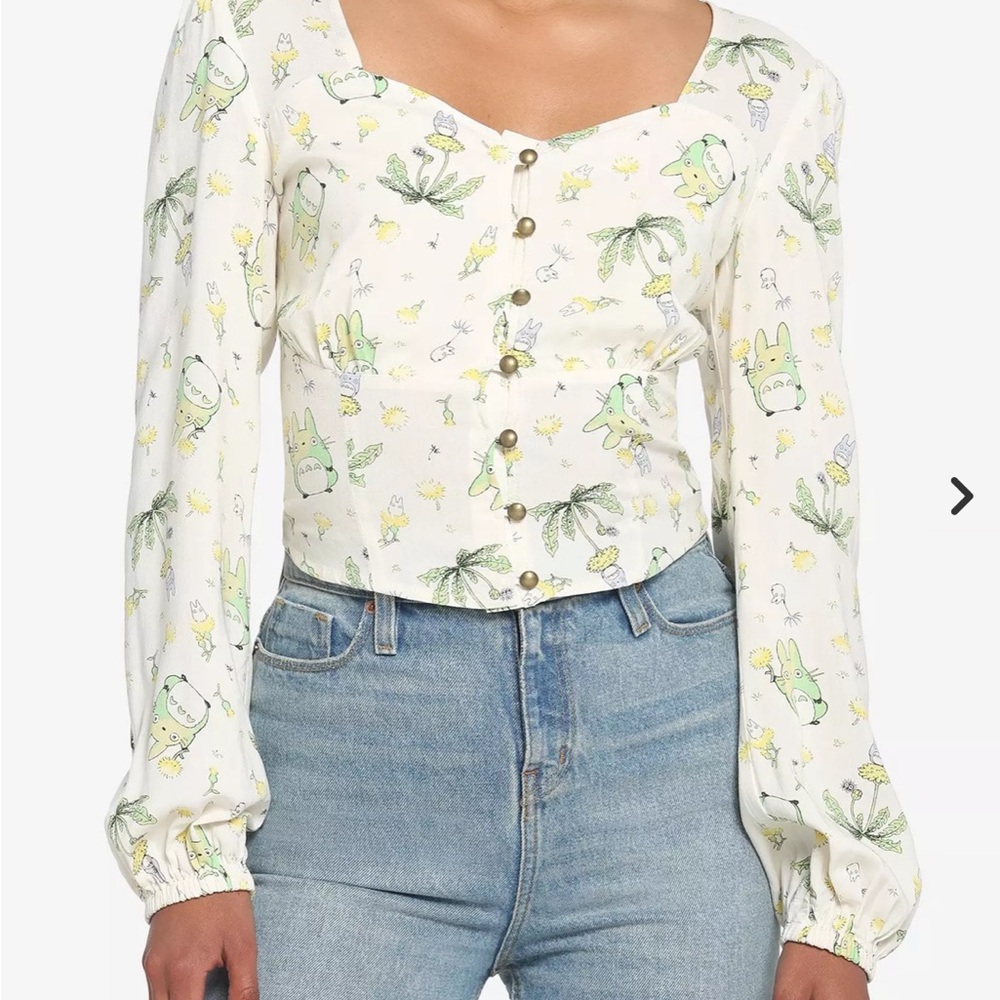 Studio Ghibli My Neighbor Totoro